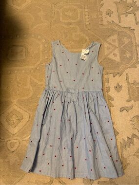 H&M Light Blue Stripe Dress with Red Dot Accents